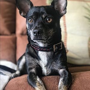 Meet your Posher, Rosa